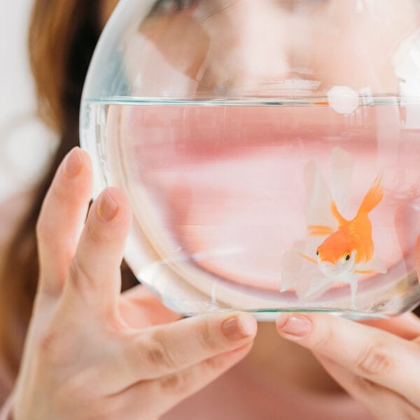 Person holding a round fishbowl with an orange goldfish inside.