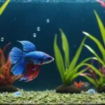 beginner friendly freshwater fish