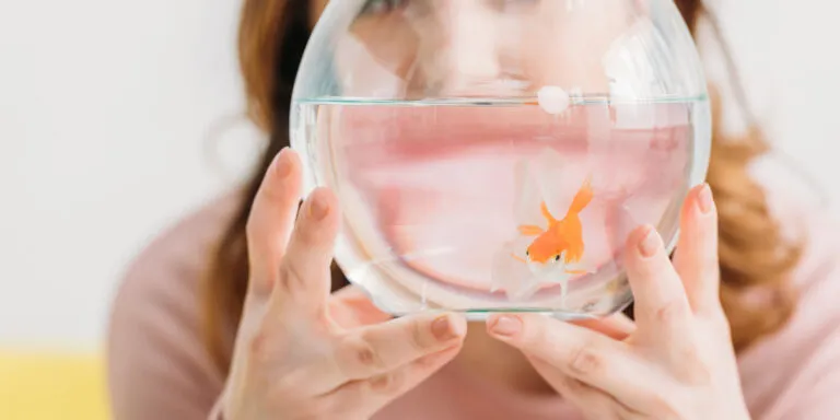 Person holding a round fishbowl with an orange goldfish inside.
