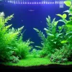led lights enhance aquatic growth