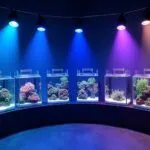 top aquarium lighting options