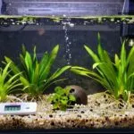 aquarium cycling success tips
