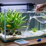 consistent water change practices